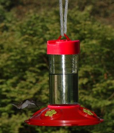 SE6018 - Dr. JB's 16 oz Clean Hummingbird Feeder (All Red Feeder w/Yellow Flowers)