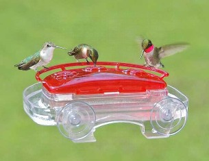 ASPECTS407 - Jewel Box Window Hummingbird Feeder