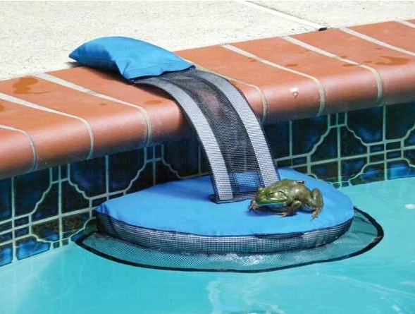 FL1 - FrogLog Critter Saving Swimming Pool Ramp