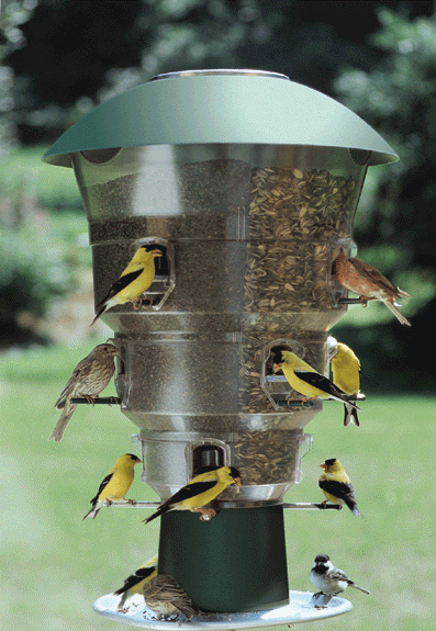 wba12 - Wild Bills 12 Port Bird Feeder Squirrel Proof (Free Shipping)