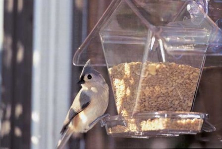 Apsects 155 Window Cafe Mount Bird Feeder Holds Variety of Seeds and Blends