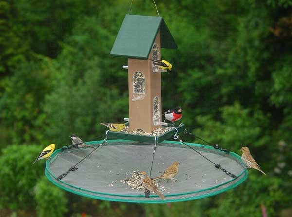 SEIA13921 - 30 Inch Seed Hoop Seed Catcher & Platform Feeder