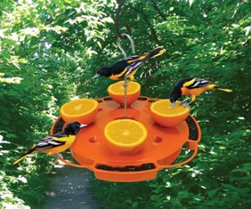 SE905 - Ultimate Oriole Feeder