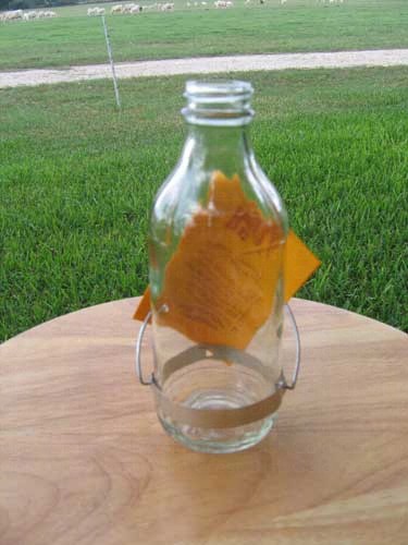 bestr8 - Best-1  Replacment 8 oz. Glass Bottle for  Hummingbird Feeder