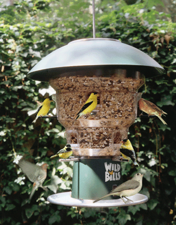 wb8 - Wild Bills 8 Port Squirrel Proof Bird Feeder $144.99/Free Ship