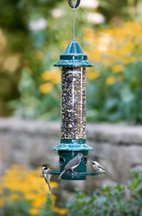 bd1024 - Brome Direct Squirrel Buster Plus w/Cardinal Ring Squirrel Proof Bird Feeder