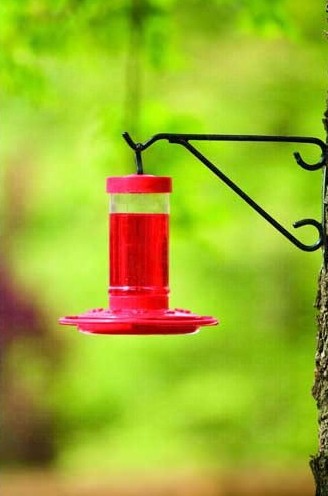 FN3051 - First Nature 16 oz Hummingbird Feeder