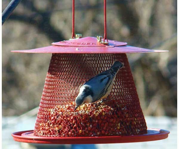 NONOC00322 - No-No Red Cardinal Collapsible Wire Mesh Bird Feeder