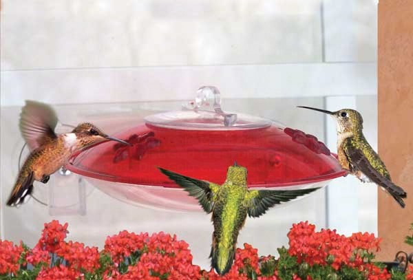 dywh3 - Droll Yankee Window Hummingbird Feeder