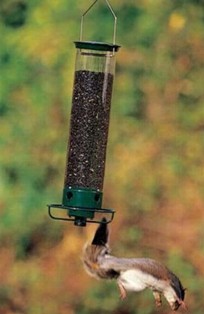 Droll Yankee Flipper Feeder