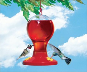 Perky Pet 216 Hummingbird Feeder w/ Free Nectar