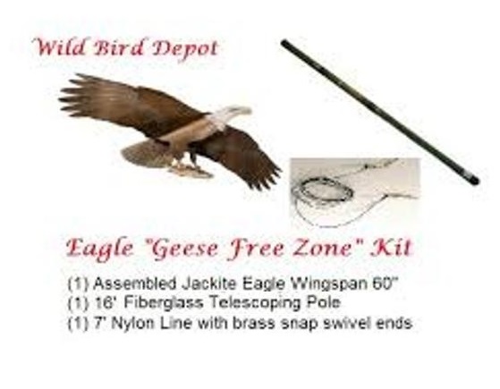 2nd new kite kit