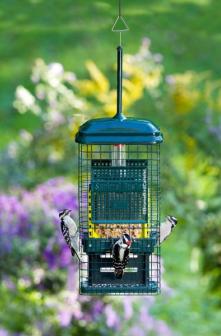 BD1106 - Squirrel Buster Suet Feeder