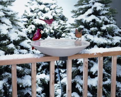 alliedpr650 - EZ Deck Tilt 'N Clean Heated Bird Bath