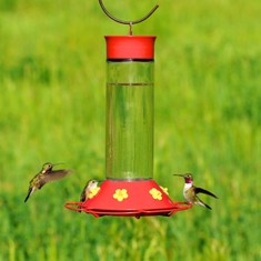 pp209B - Perky Pet 209 Our Best 30oz. Hummingbird Feeder