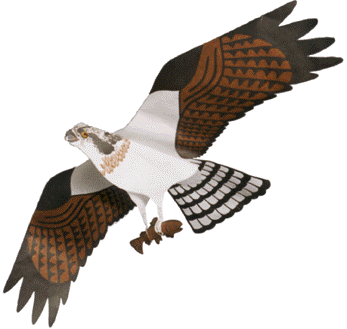 Jackite Osprey OA - Jackite Osprey Kite