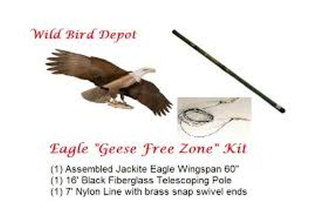 Jackite Eagle Kit