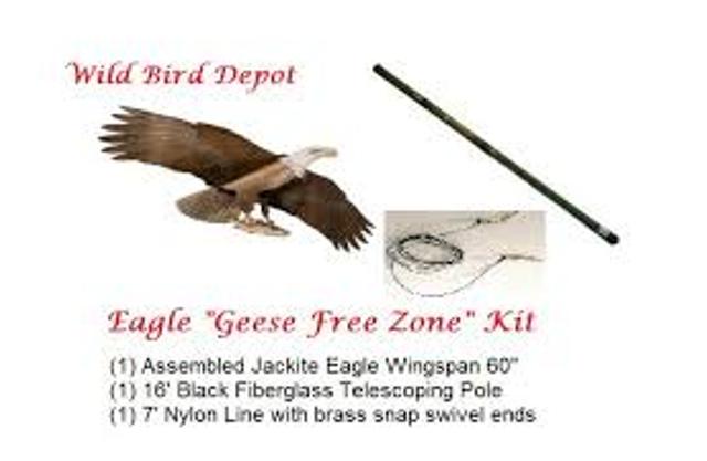 Jackite Osprey Kite & Telescoping Pole Natural Pest Repellent for Boat 28"