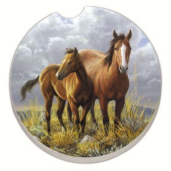 CART09889 - Horses Car Coaster