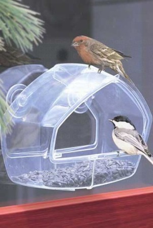 PP348 - Clear Window Bird Feeder