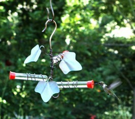 Test Tube Hummingbird Feeders