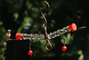 sehhwhtt - Whimsy Teeter Totter Test Tube Hummingbird Feeder