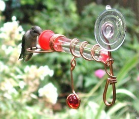 sehhwwh1 - Single Glass Test Tube Window Wonder Hummingbird Feeder