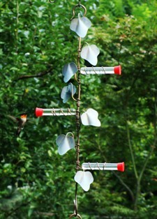 Test Tube Hummingbird Feeder