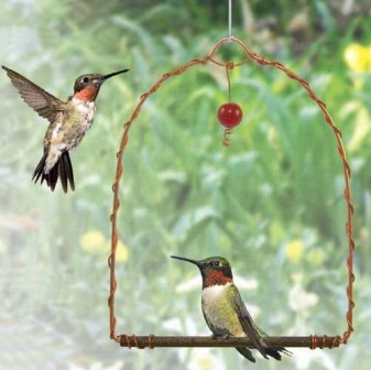 SEHHHUMS - Copper Hummingbird Swing
