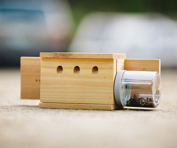 Carpenter Bee Traps Bees N Things Carpenter Bee Traps at WildBirdDepot